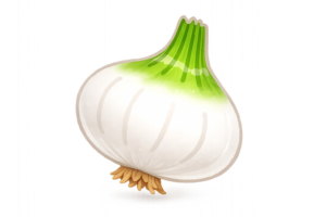 新玉ねぎのイラスト｜春・食材素材（無料・透過PNG）