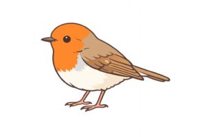 オレンジ色の頭が特徴のコマドリのイラスト｜鳥・野鳥の無料素材（透過PNG・商用OK）