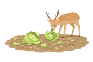 鹿による獣害で荒らされた畑のイラスト｜農作物被害を伝える無料素材（透過PNG・商用OK）