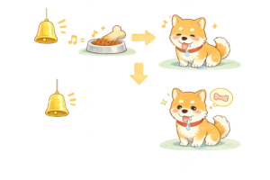 ベルの音でよだれを垂らすパブロフの犬の実験イラスト｜条件反射を学べる心理学教材の無料素材（透過PNG・商用OK）
