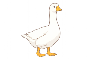 雁の仲間の水鳥・ガチョウのイラスト｜かわいい野鳥・動物素材（透過PNG・商用OK）