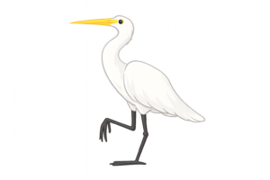 全身が白いサギ（白鷺）のイラスト｜水辺の野鳥・自然動物素材（透過PNG・商用OK）