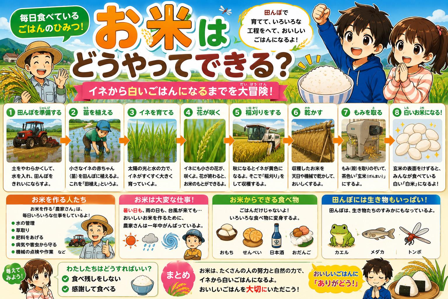 お米はどうやってできるの？大研究！