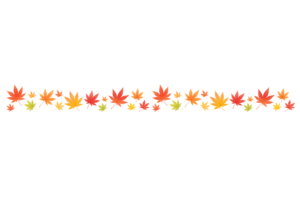色々な形の紅葉が並ぶライン素材｜秋のもみじ装飾ボーダーイラスト（透過PNG・商用利用可）
