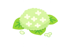 やさしい薄緑カラーの紫陽花イラスト｜かわいい梅雨の無料素材（透過PNG・商用利用OK）
