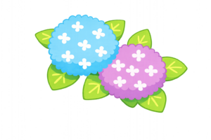 水色と紫が美しい紫陽花のイラスト｜梅雨を彩る無料素材（透過PNG・商用OK）