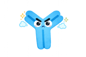 かわいい抗体キャラクターのイラスト｜Y字型の免疫フリー素材（透過PNG・商用利用OK）