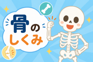 体を支える大黒柱！骨のひみつ大発見！