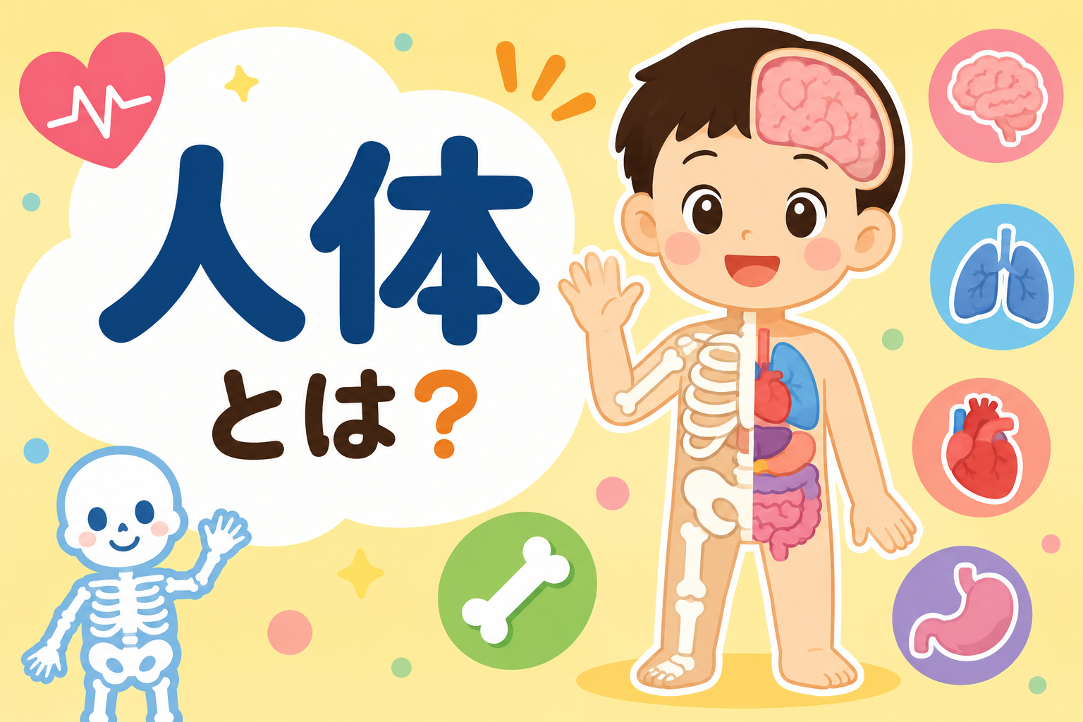 体の中はどうなってる？人体のひみつ大発見！