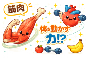 体を動かす力！？筋肉のひみつ大発見！