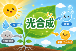 植物の魔法！？光合成のひみつ大発見！