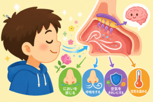 どうしてにおいがわかるの？鼻の働きを大発見！
