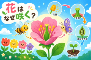 花はなぜ咲くの？植物の大作戦を大発見！